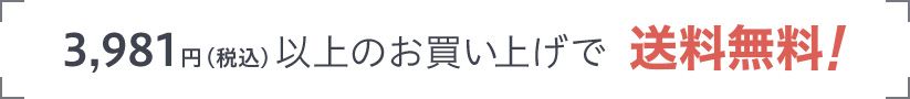 3981円以上送料無料